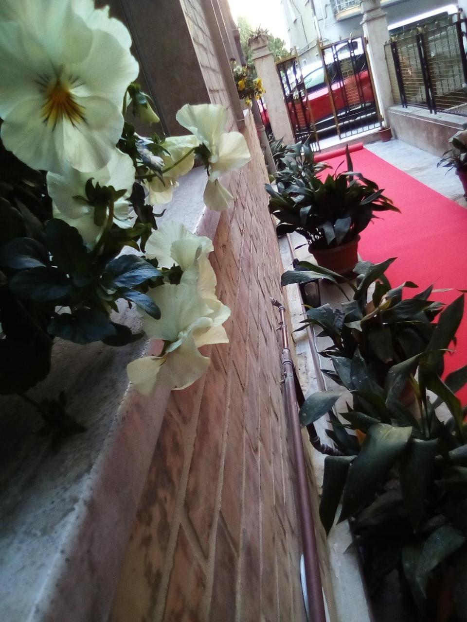 Officina Urban Sleep Bed and Breakfast San Benedetto del Tronto Exteriör bild